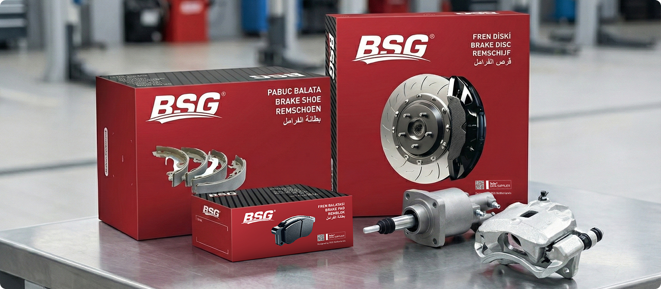 BSG Brake System Components